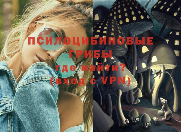 apvp Аркадак