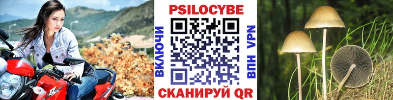 kraken ссылки  Фрязино  Галлюциногенные грибы мицелий 