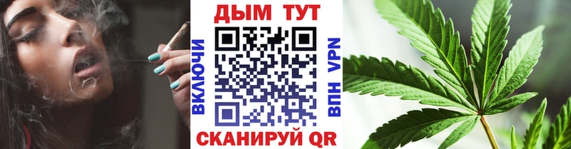 Шишки марихуана Bruce Banner  продажа наркотиков  Фрязино 